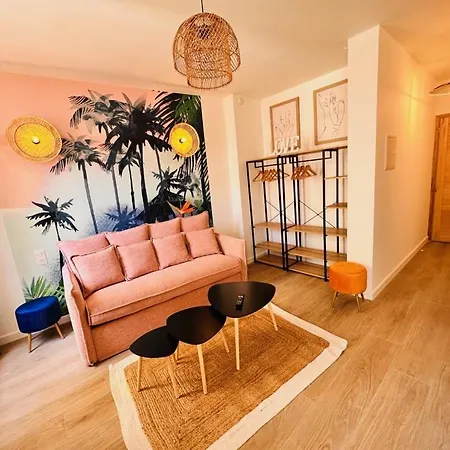 De Nana 8 - Hypercentre, Rue Meynadier, Palais & Plage, Clim, Wifi *